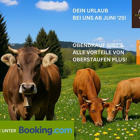 Kuh'Les Hideaway Steibis 3-Zimmer Ferienwohnung 55 M² Oberstaufen Exterior foto